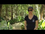 Cayman Parrot Survey - Spotlight Story 2015