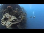 Diving in the Cayman Islands: Technical Diving