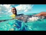 Swimming with stingrays